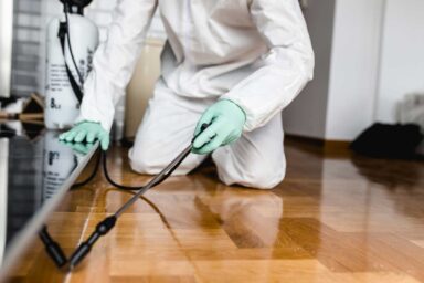 average-pest-control-cost-1